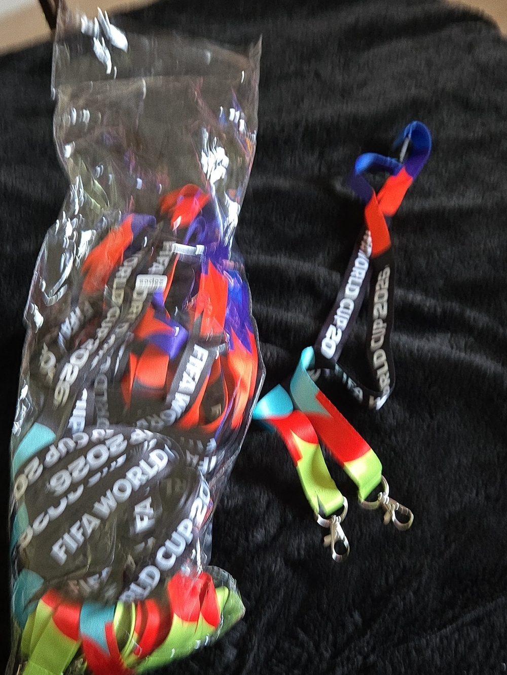 FIFA WORLD CUPMulticolor Men's Lanyard with Metal Clip - Bright Red, Blue, Green